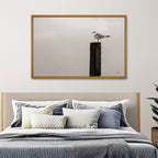 Watching the rain Fall