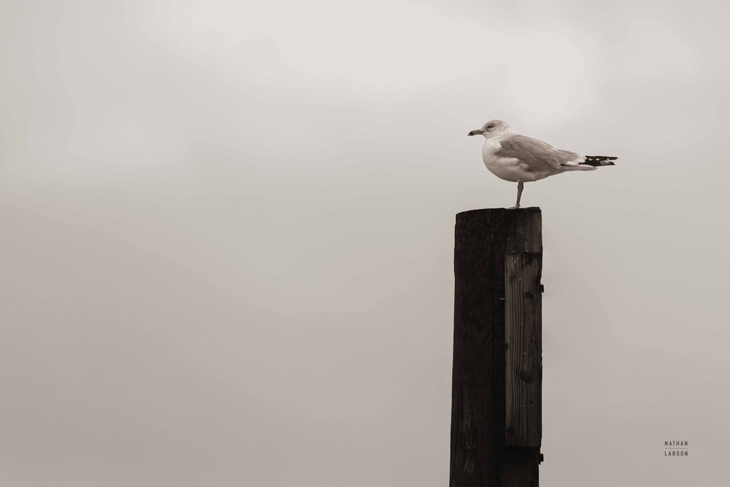 Watching the rain Fall