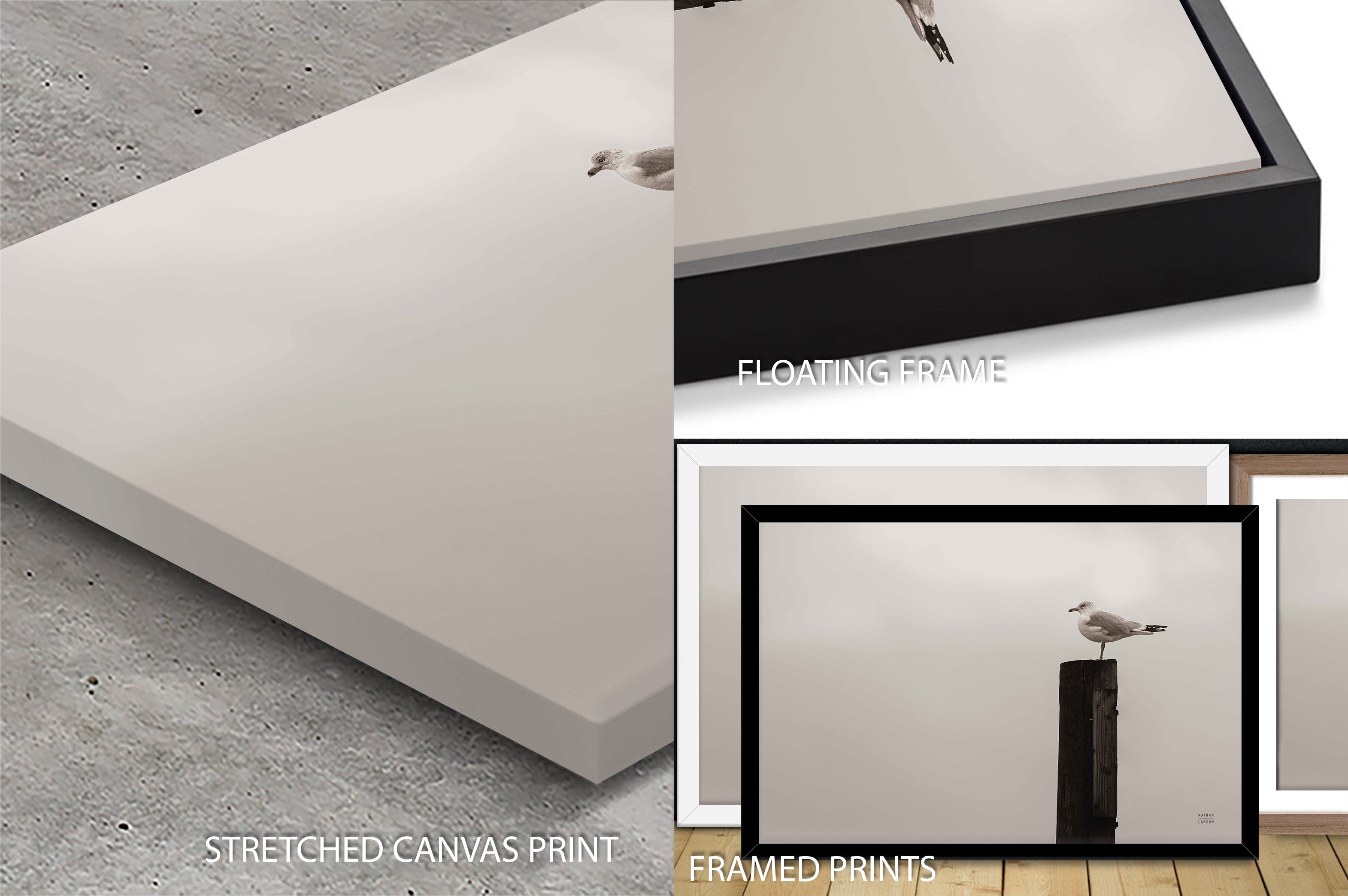 Watching the rain Fall