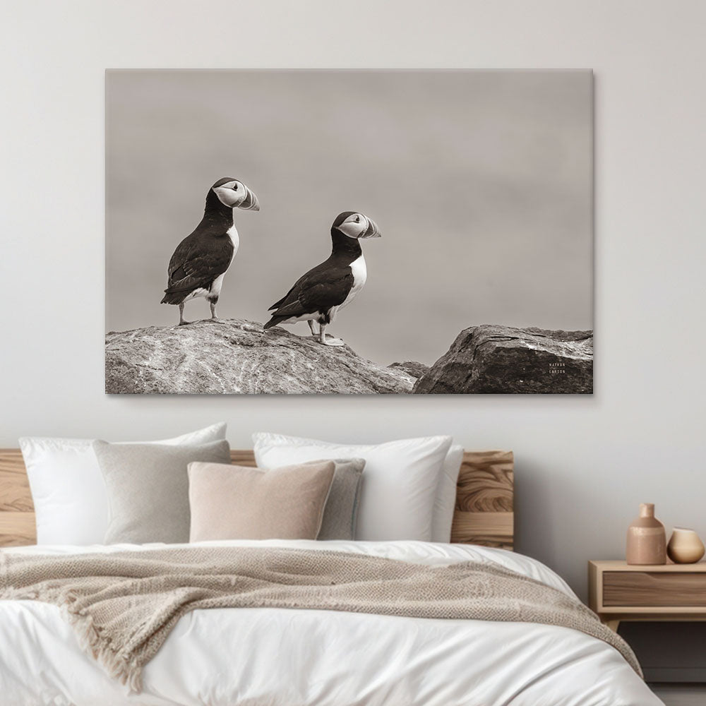 Atlantic Puffin Pair Sepia