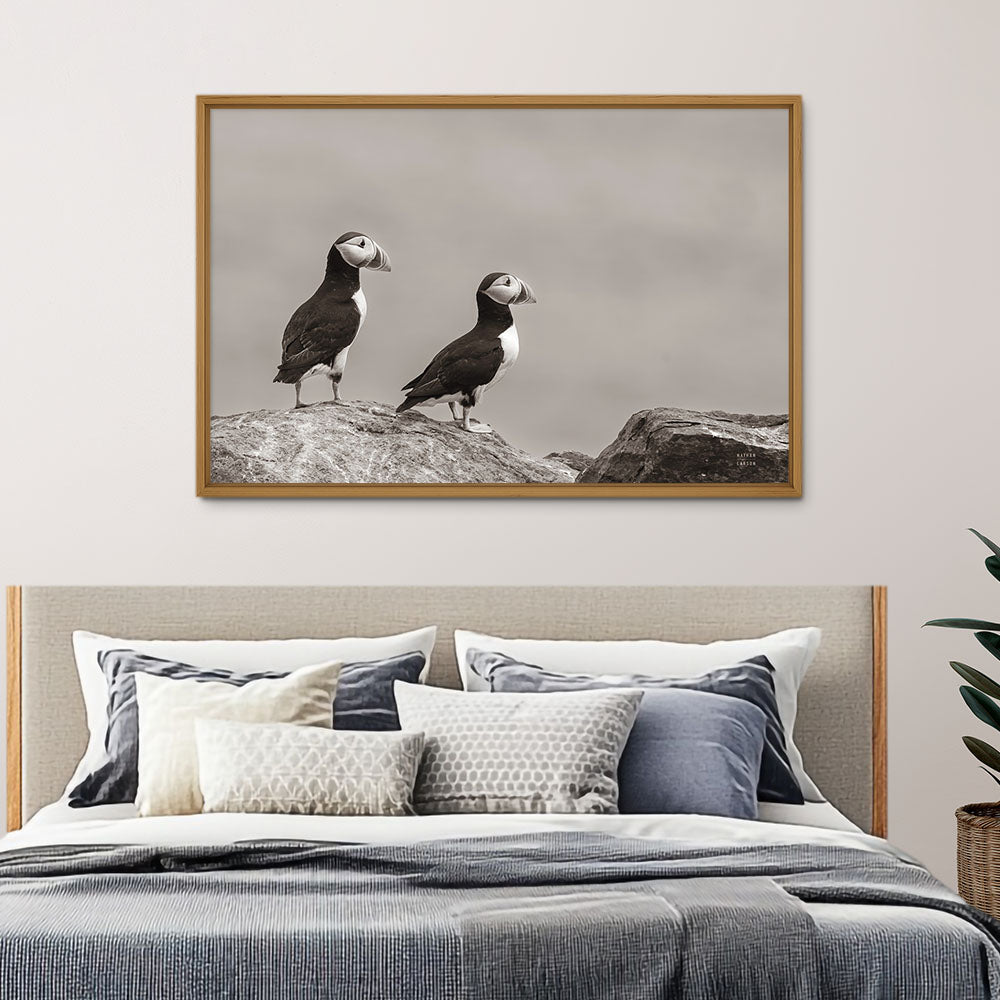 Atlantic Puffin Pair Sepia