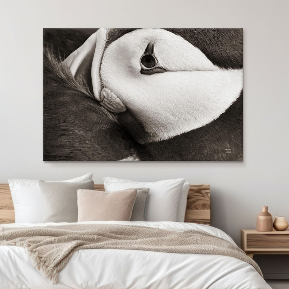 Atlantic Puffin Tucked BW
