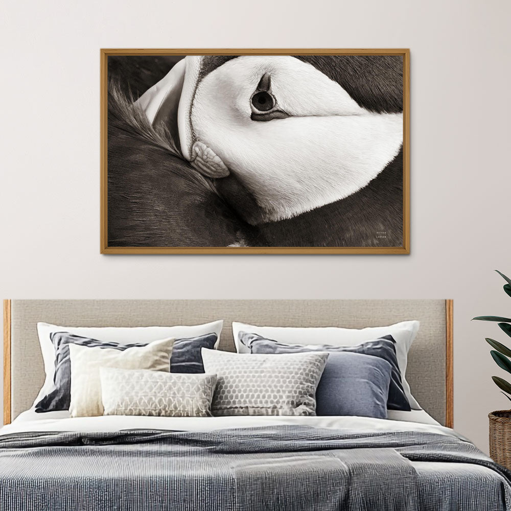 Atlantic Puffin Tucked BW