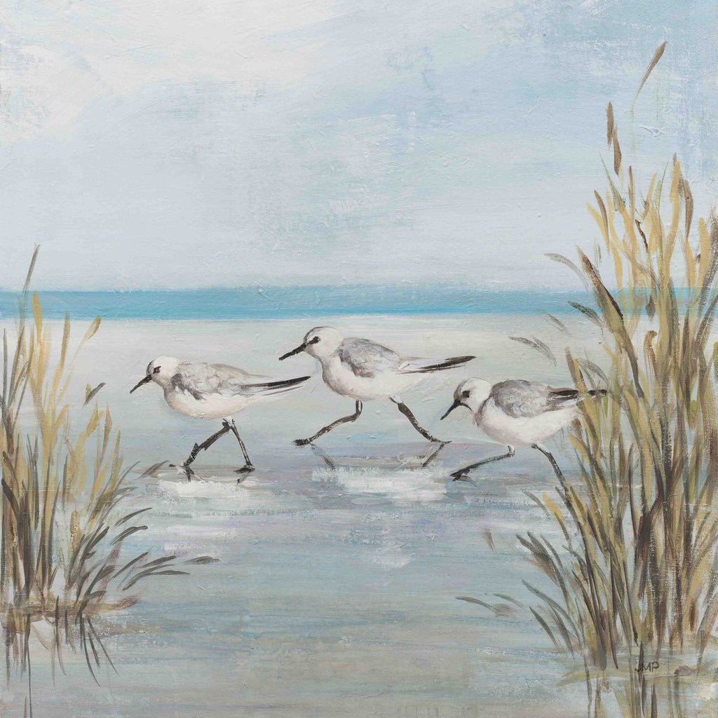 Beach Birds III