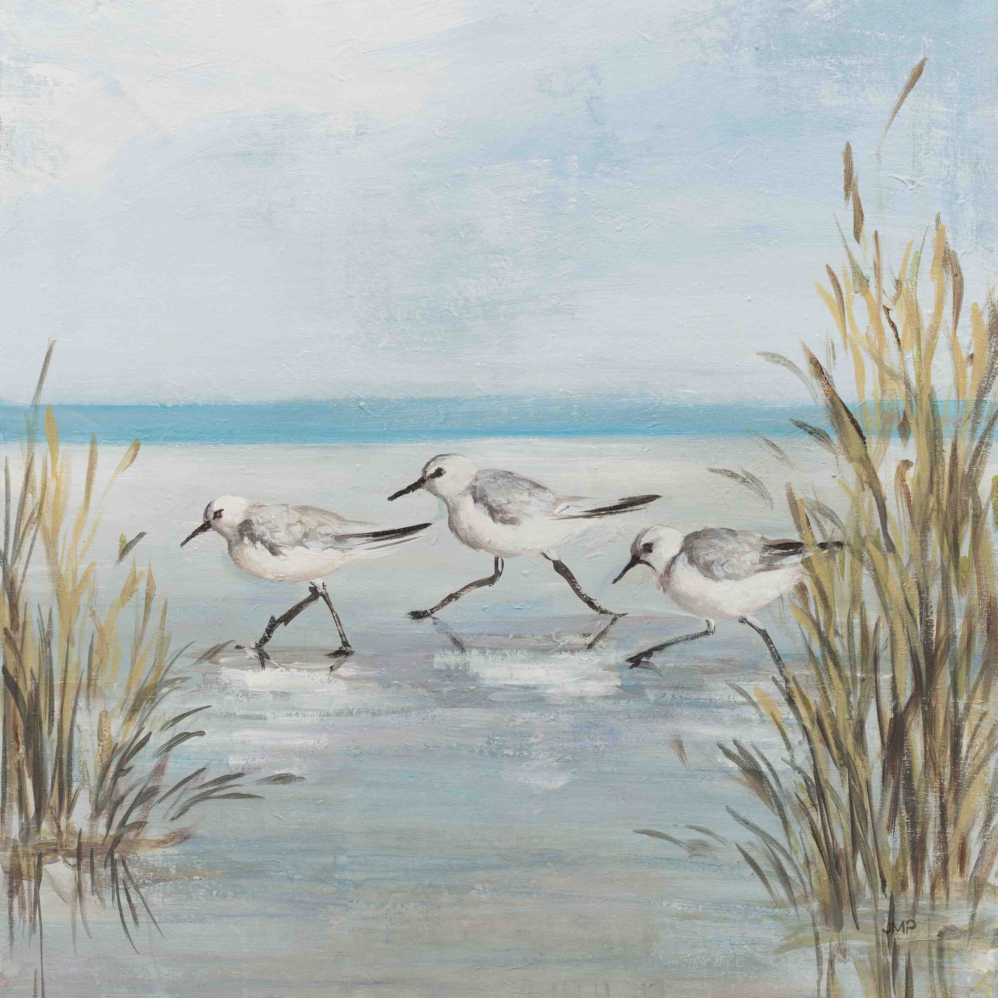 Beach Birds III