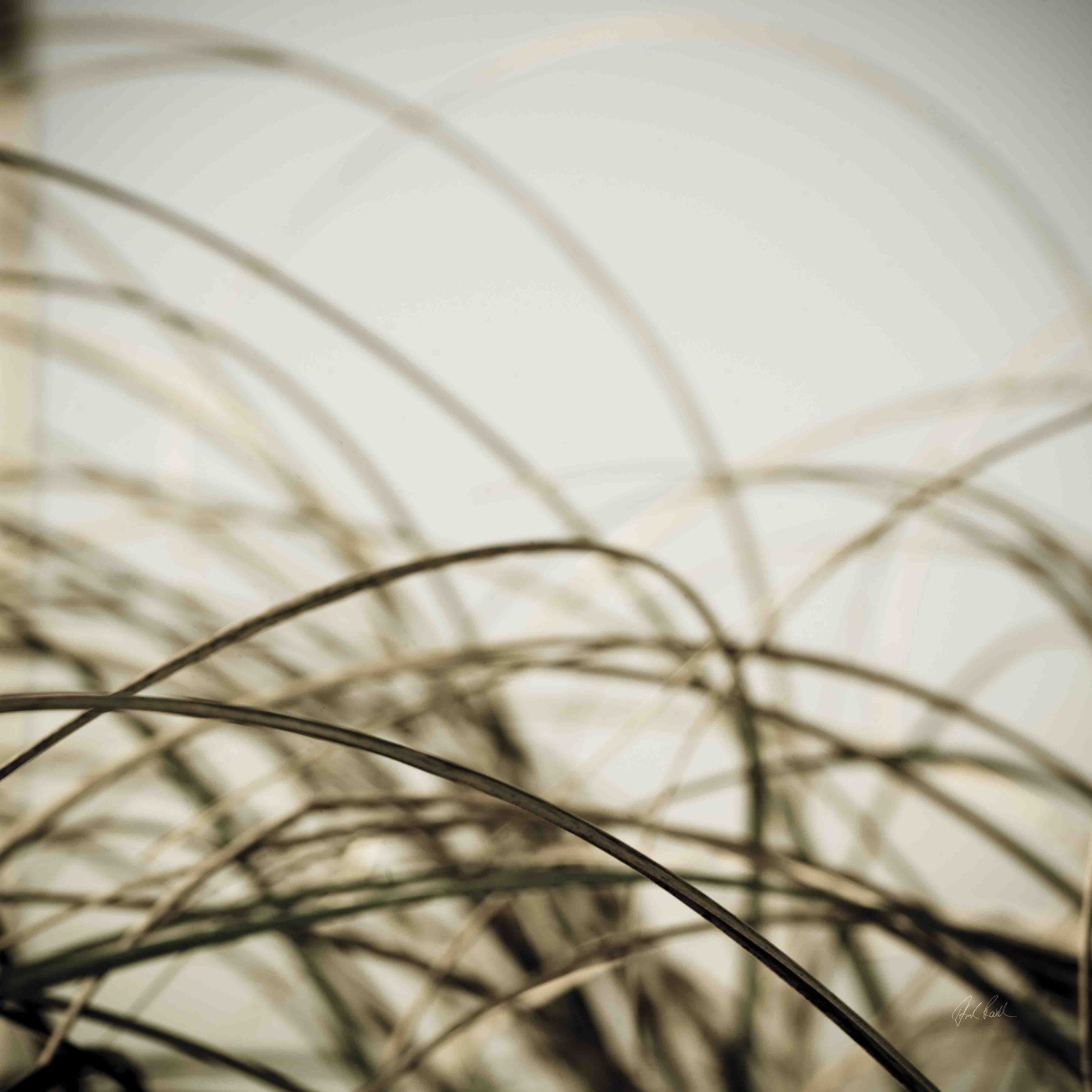 Beach Grass Diptych by Deborah Revell