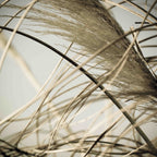 Beach Grass Diptych by Deborah Revell