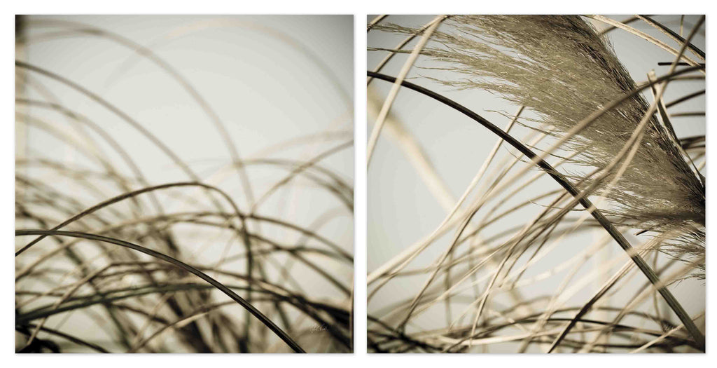 Beach Grass Diptych by Deborah Revell