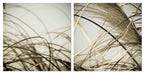 Beach Grass Diptych by Deborah Revell