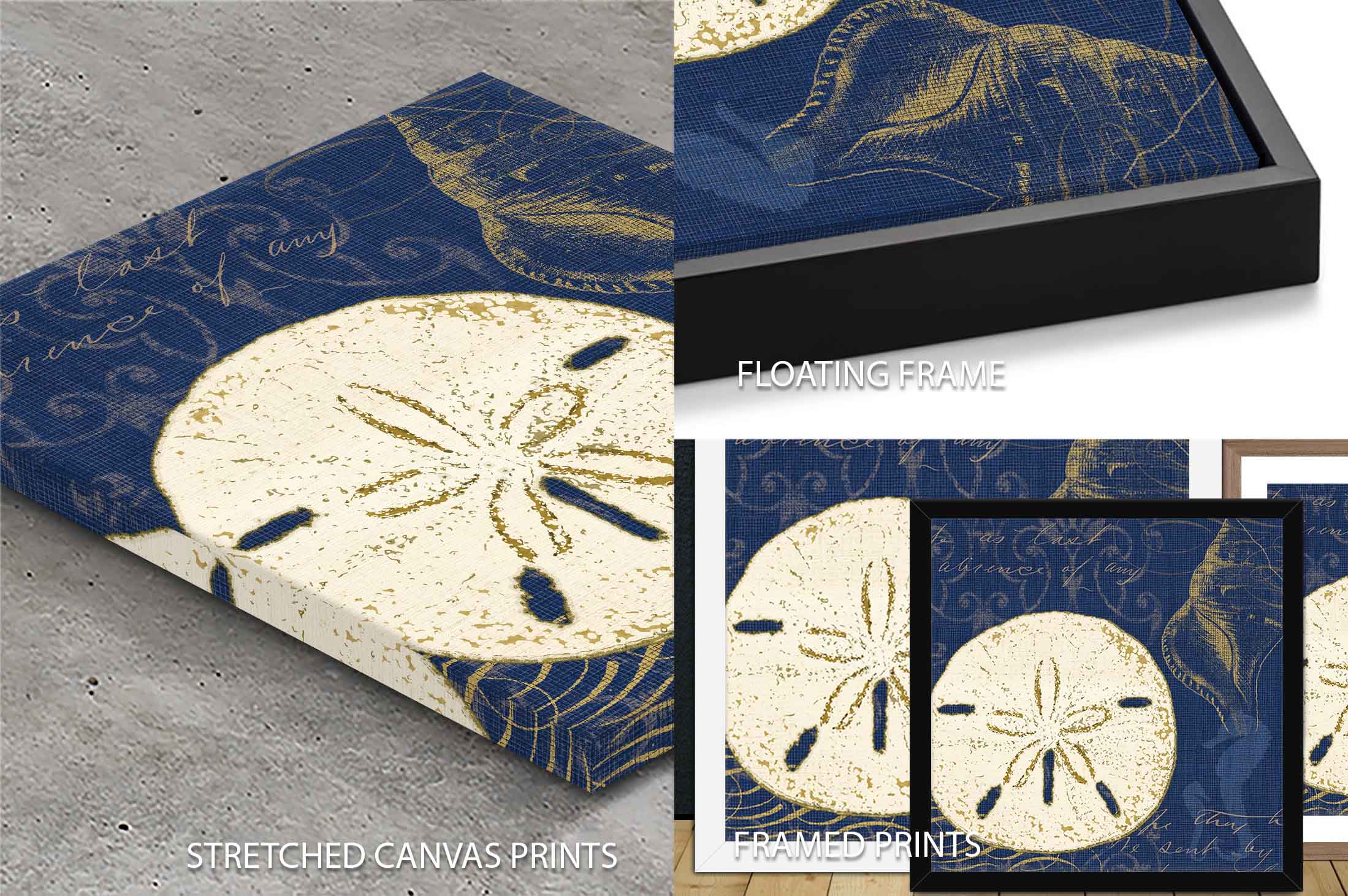 Coastal Moonlight III Teal