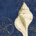 Coastal Moonlight IV Teal