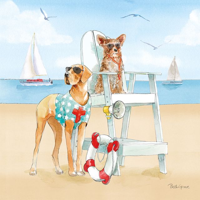 Summer Fun at the Beach IV