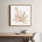 Pacific Sea Mosses XII White