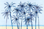 Laguna Palms I — palm trees art print at Salt and Sol Australia — printed in Australia