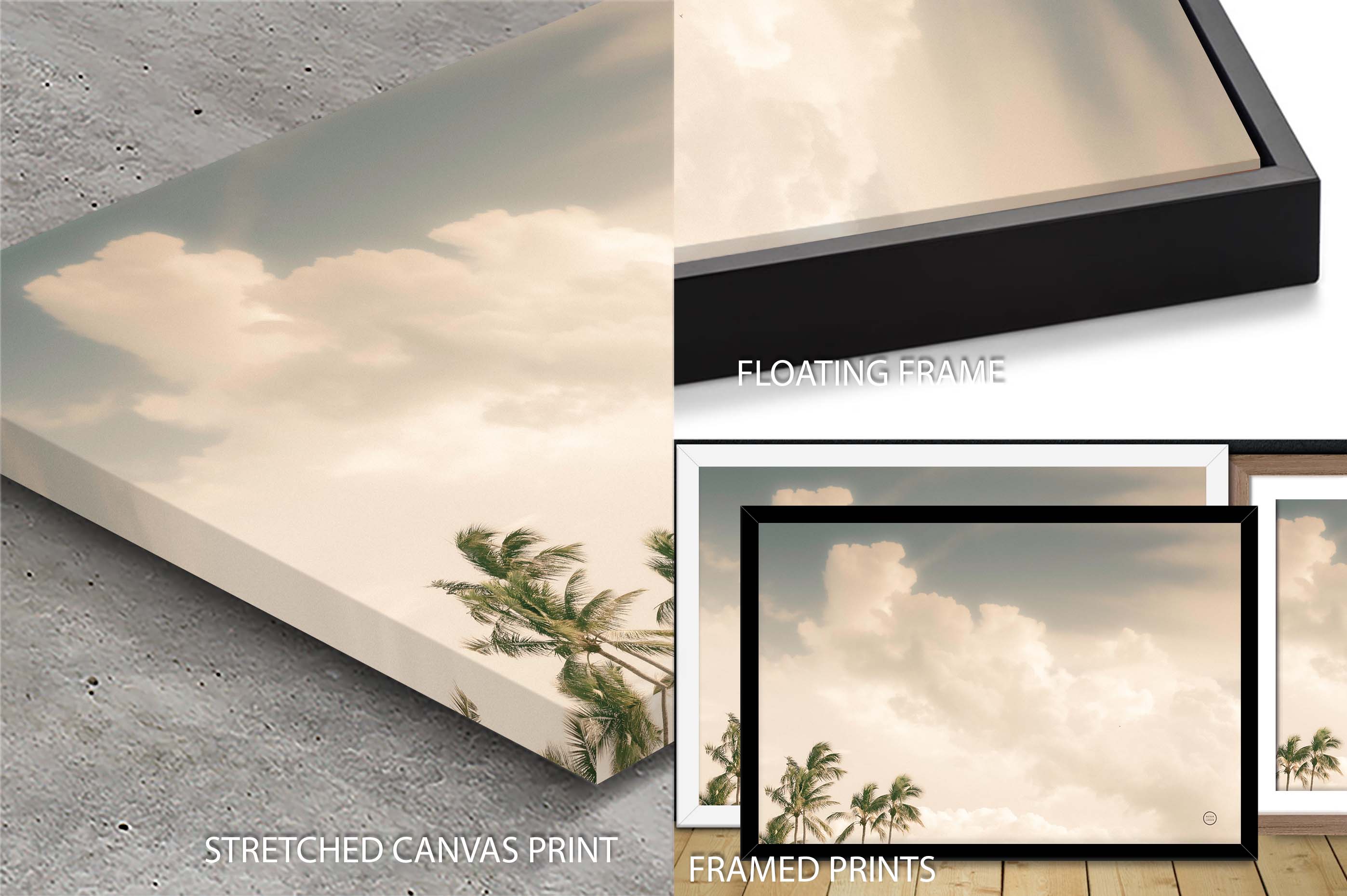 Lone Bird Ocean View