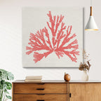 Pacific Sea Mosses IV — open sea art print at Salt and Sol Australia — printed in Australia