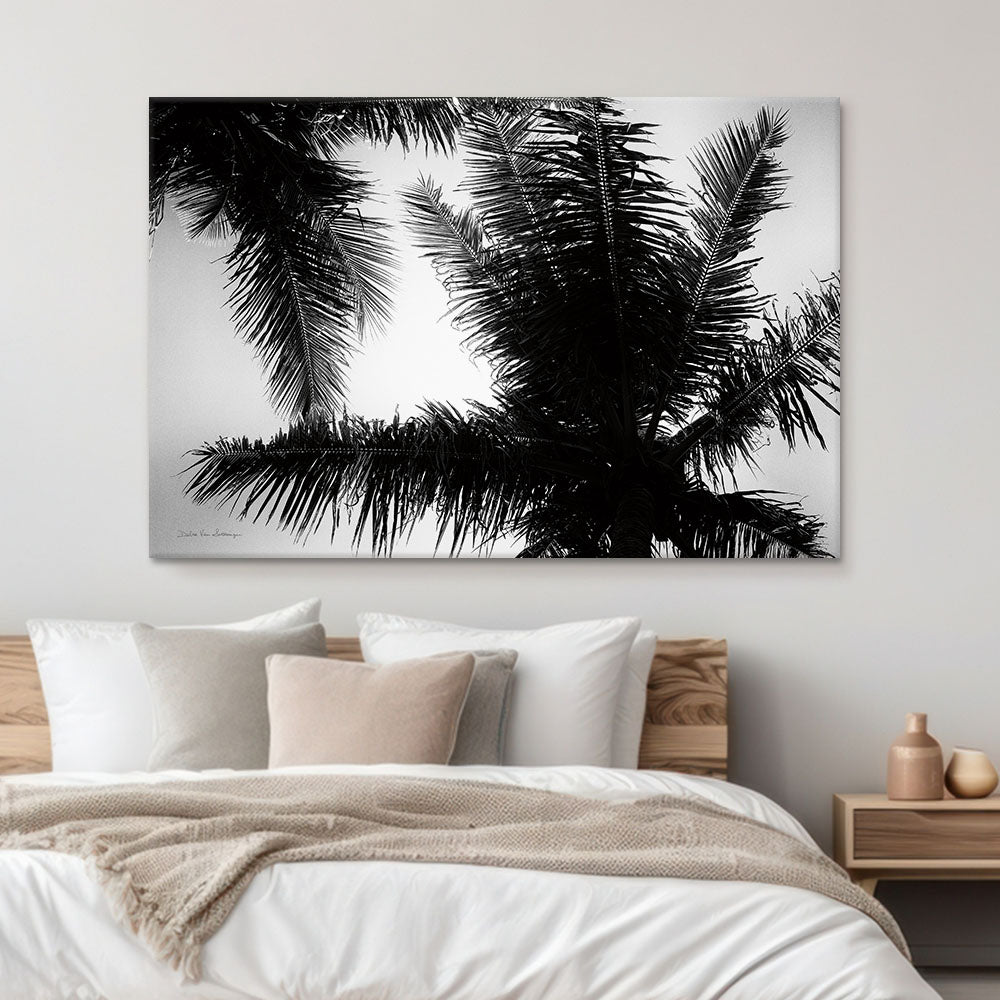 Palm Tree Looking Up I