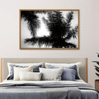 Palm Tree Looking Up I