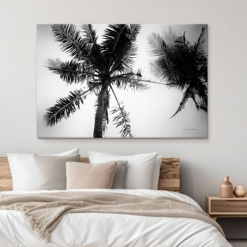 Palm Tree Looking Up II