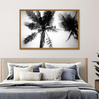 Palm Tree Looking Up II