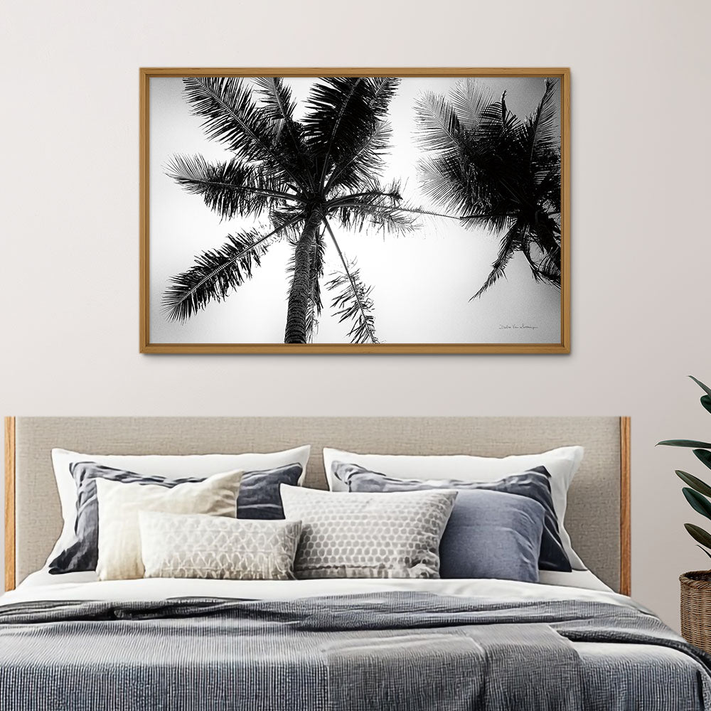 Palm Tree Looking Up II