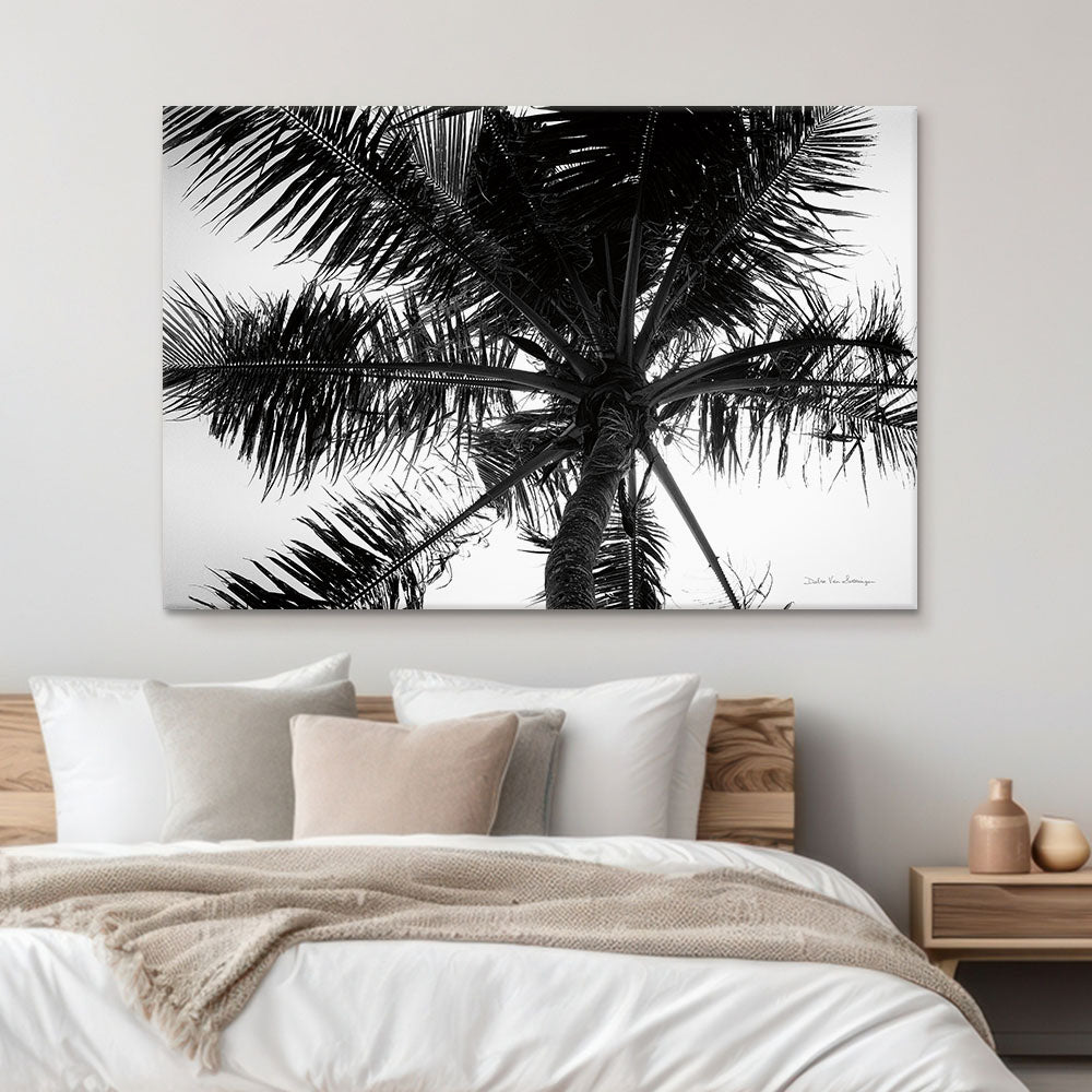 Palm Tree Looking Up III