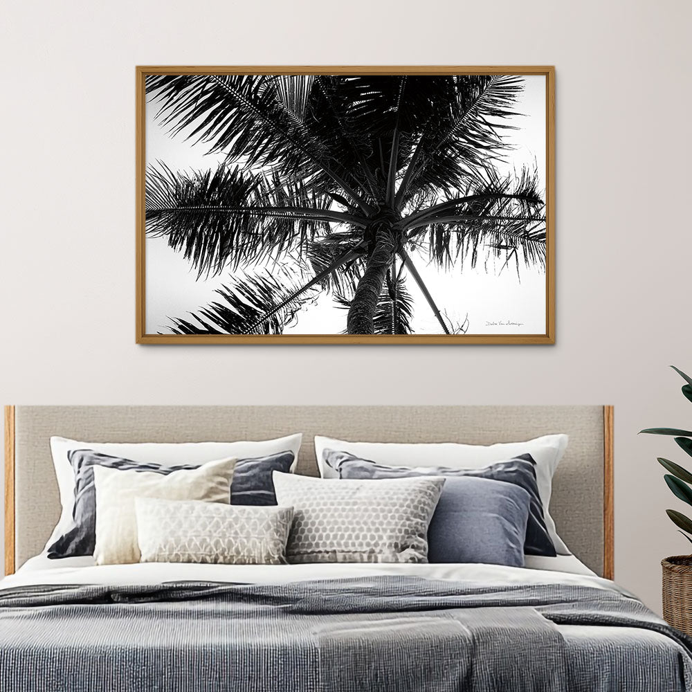 Palm Tree Looking Up III