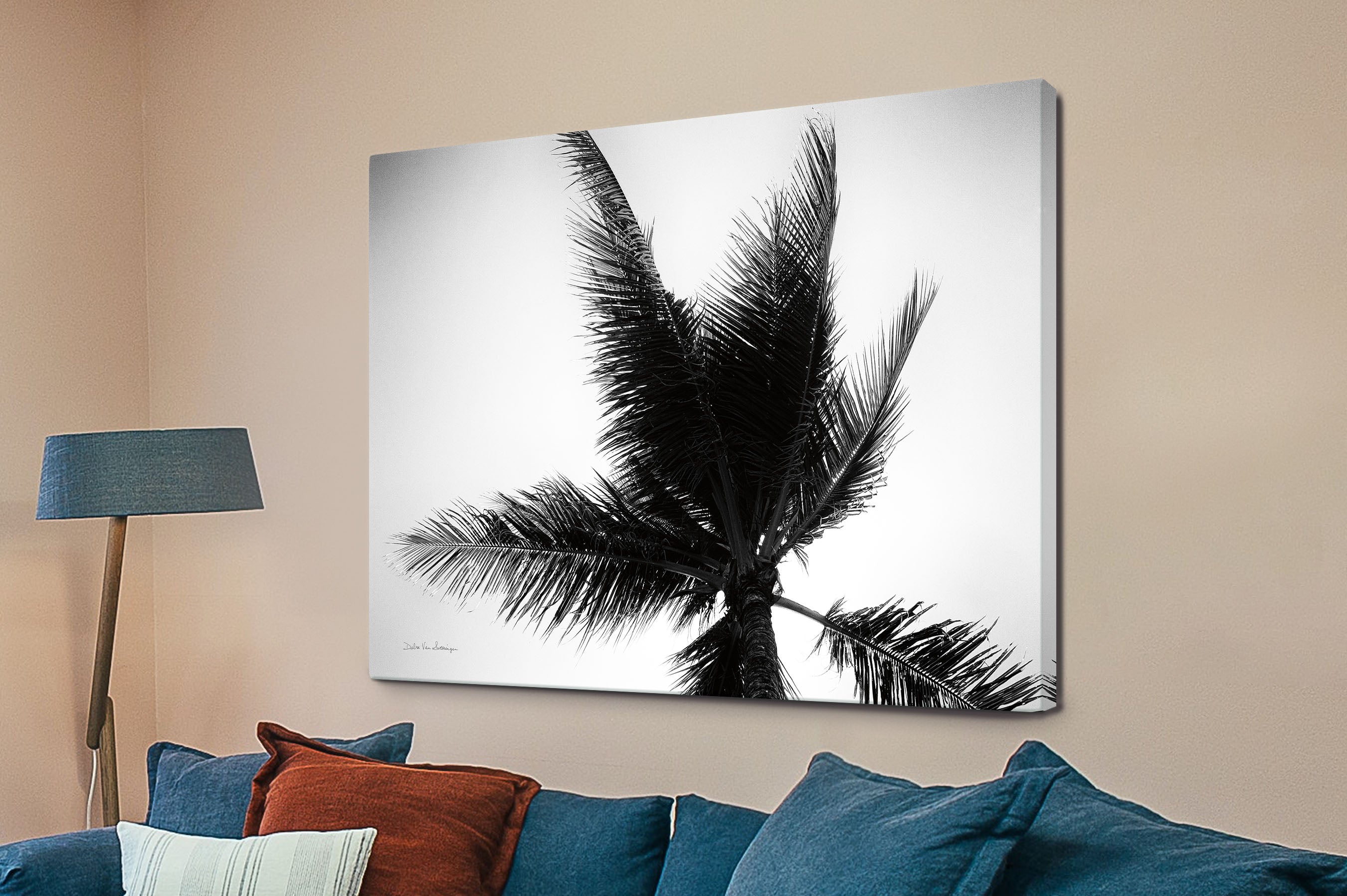 Palm Tree Looking Up IV