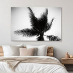 Palm Tree Looking Up IV