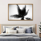 Palm Tree Looking Up IV