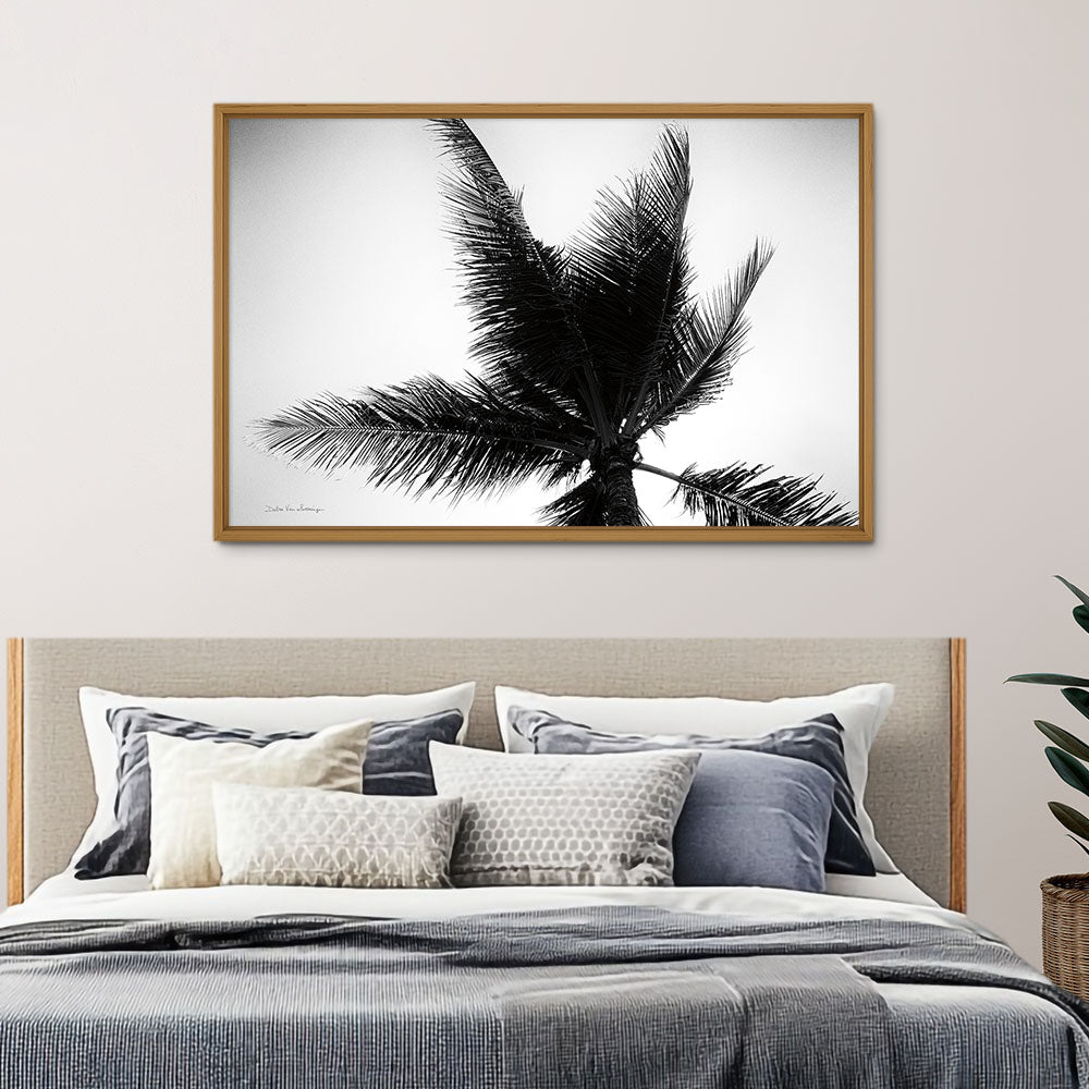 Palm Tree Looking Up IV