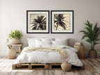 Palm Tree Sepia I & II by Square Photographic Diptych — palm trees art print at Salt and Sol Australia