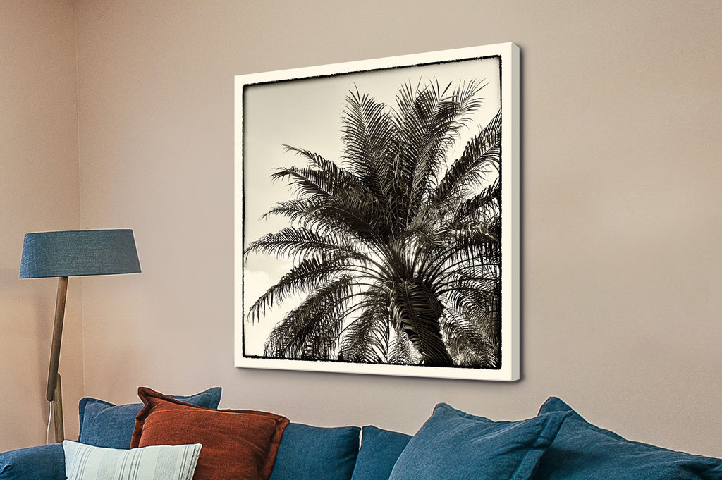 Palm Tree Sepia I