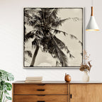 Palm Tree Sepia II