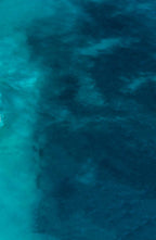 Riptide Triptych by Matt Day