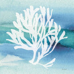 Sea Life Coral I — coral reef art print at Salt and Sol Australia — printed in Australia