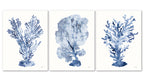 Shibori Coral Triptych Art Set by Mary Urban