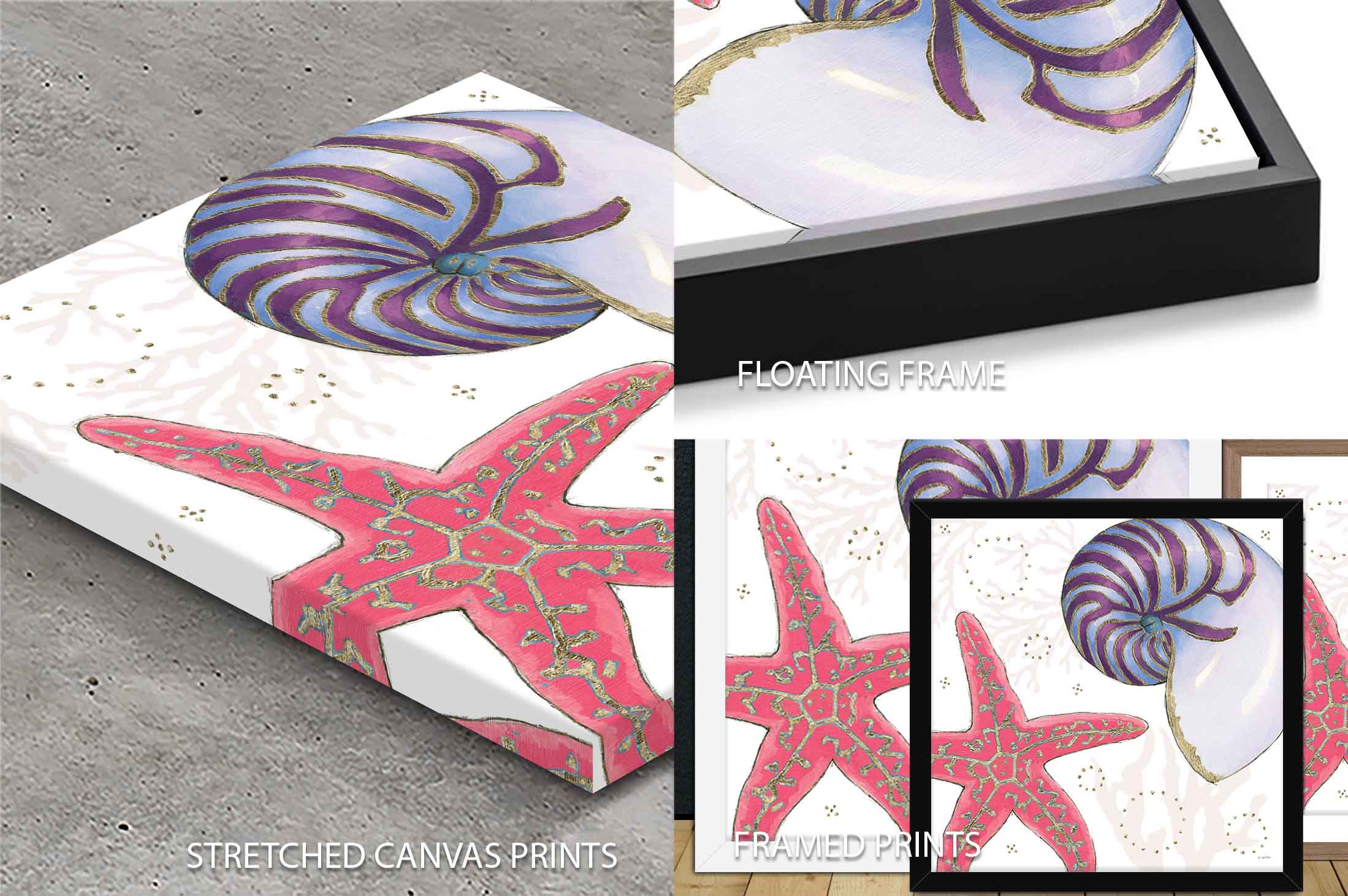 Shimmering Shells II