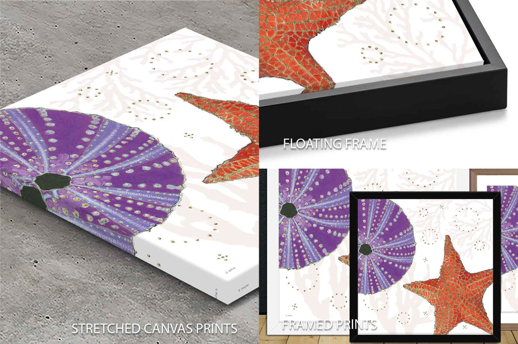 Shimmering Shells III