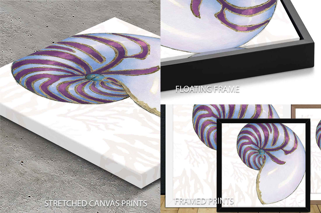 Shimmering Shells VI