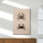 Shore and Fiddler Crab