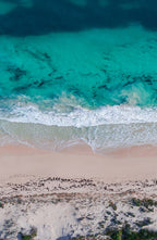 Sovereign Waves Triptych by Matt Day