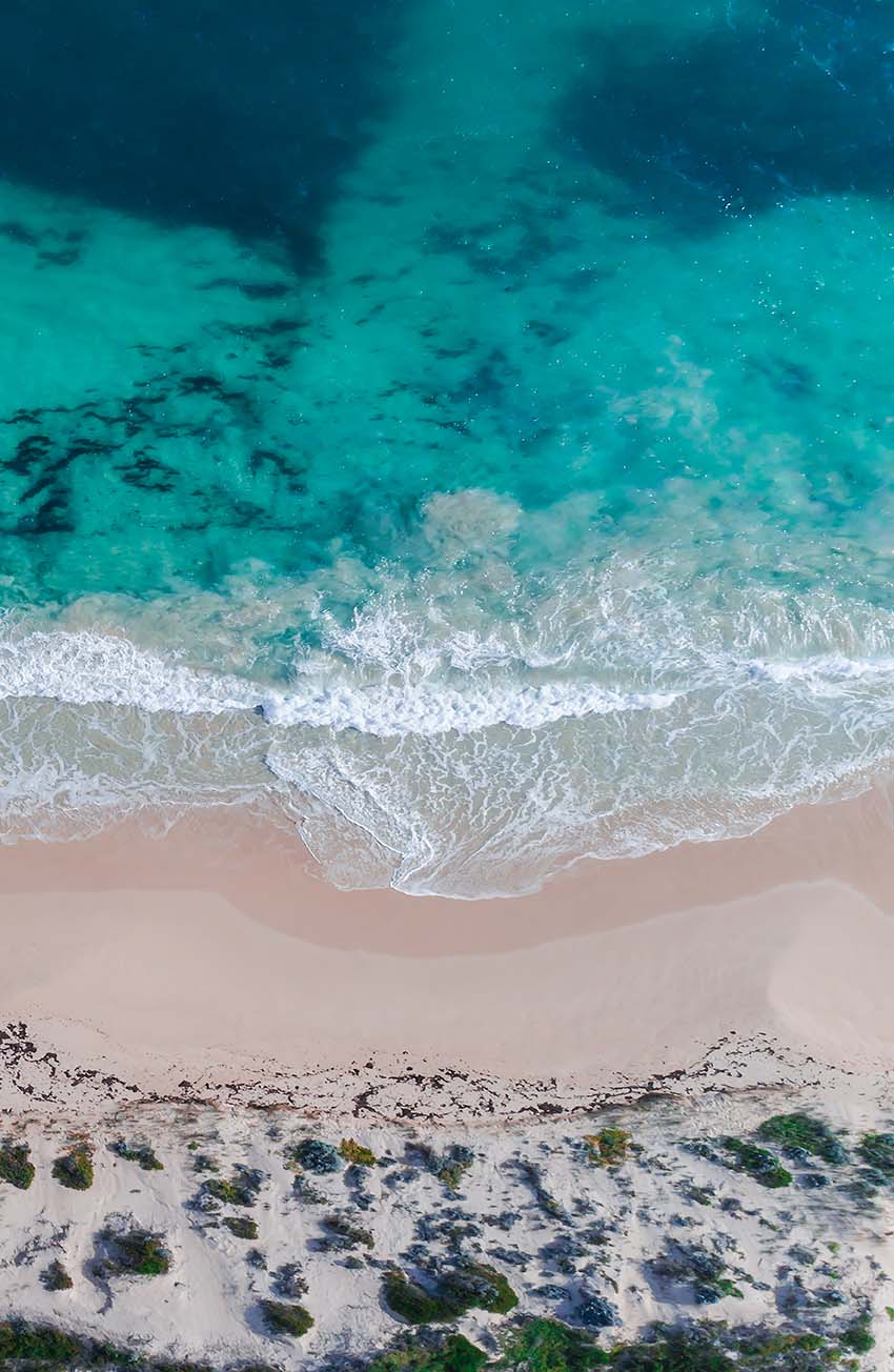 Sovereign Waves Triptych by Matt Day