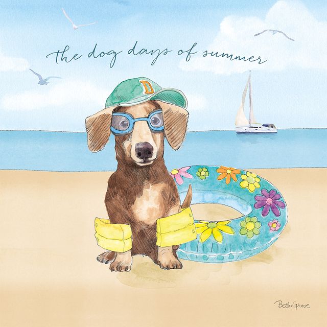 Summer Paws III — coastal wall art print at Salt and Sol Australia — printed in Australia