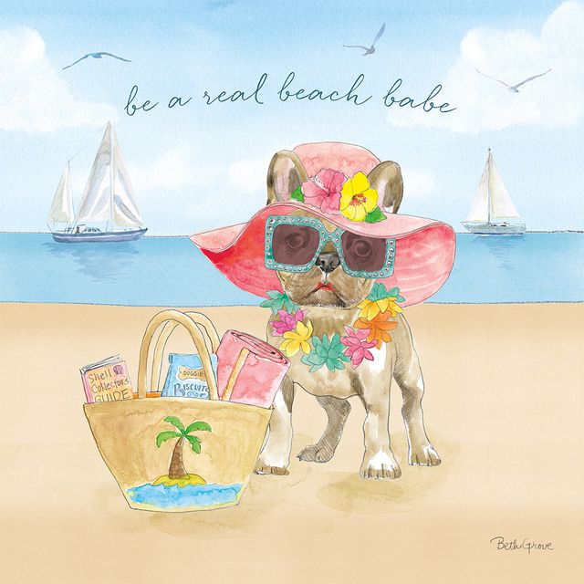 Summer Paws IV — coastal wall art print at Salt and Sol Australia — printed in Australia
