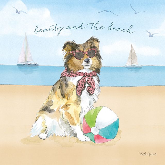 Summer Paws V — coastal wall art print at Salt and Sol Australia — printed in Australia
