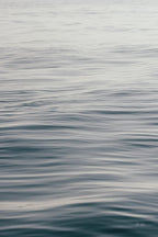 The Silent Sea Triptych by Deborah Revell