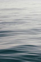 The Silent Sea Triptych by Deborah Revell