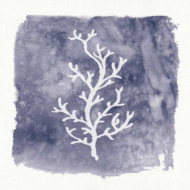 Water Coral Cove IV — coral reef art print at Salt and Sol Australia — printed in Australia