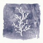 Water Coral Cove IV — coral reef art print at Salt and Sol Australia — printed in Australia